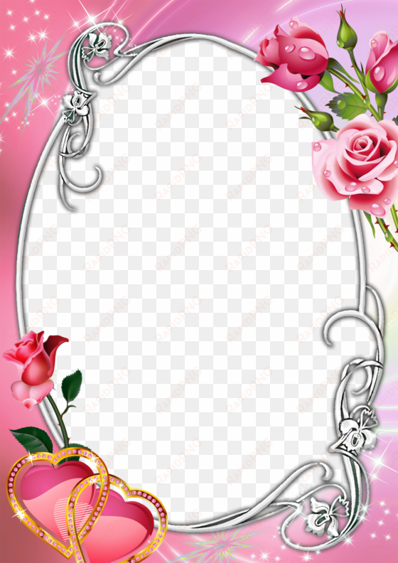 pink transparent with roses - pink roses borders and frames
