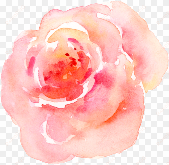 pink watercolor flower transparent - pink flower watercolor transparent