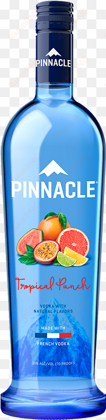 pinnacle®tropical punch vodka - pinnacle tropical punch