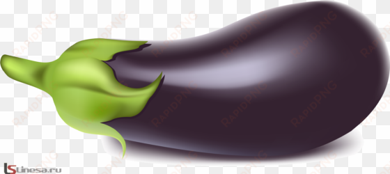 pinterest - eggplant clipart png