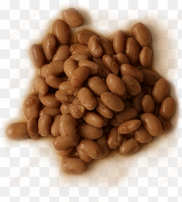 pinto beans - chipotle pinto beans