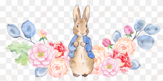 pion123 - peter rabbit watercolor elements