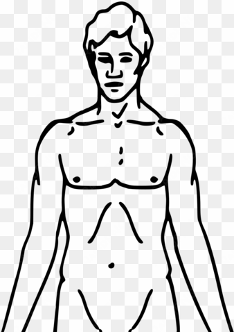 pioneer plaque man upper body as diagram template - chemical basis of love