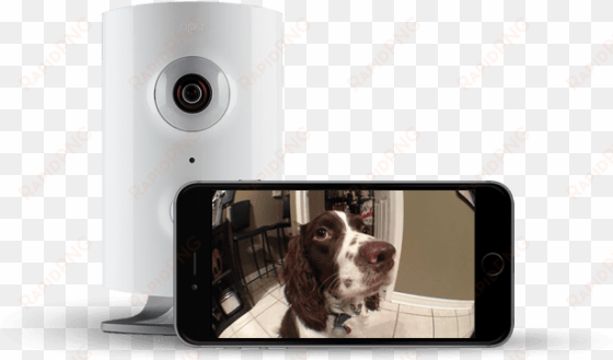 piper , home security system, best smart home gadgets - piper camera
