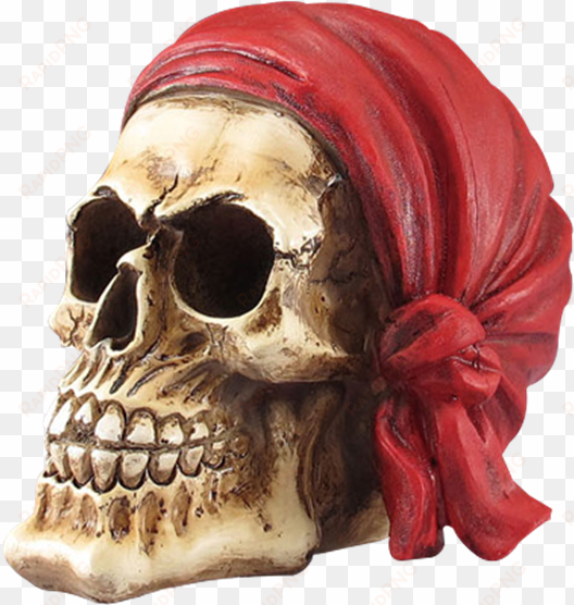 pirate skull with red bandana statue - skull