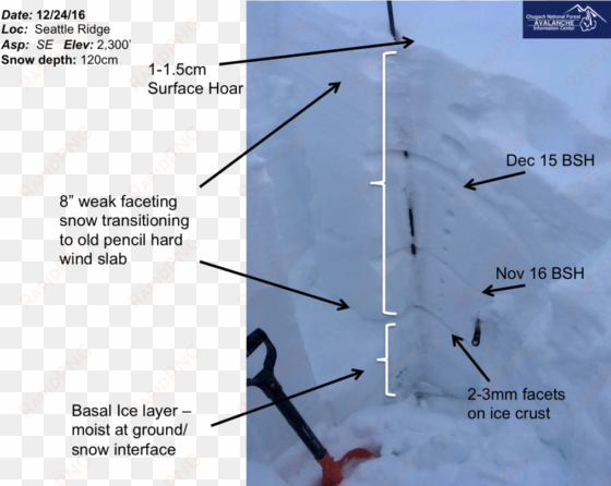 pit profile in a deeper portion of repeat offender - snow