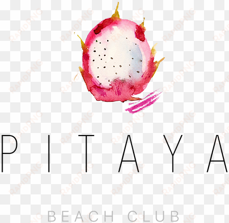 pitaya beach is a brand new beach club in costa maya - beach