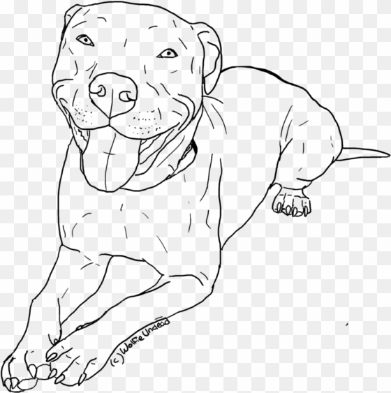 pitbull coloring pages to download and print for free - pitbull line drawing