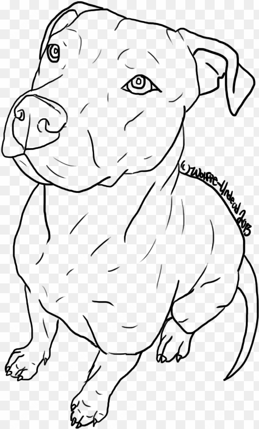 pitbull drawing kawaii - pit bull terrier drawing
