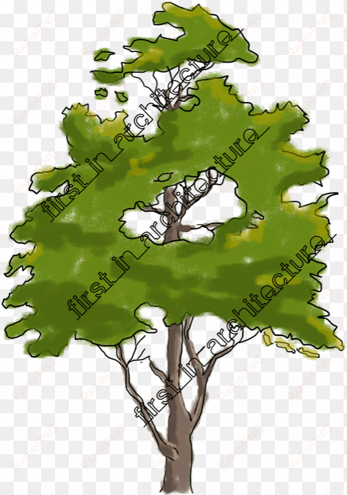 plan vector tree sketch - sketchy tree