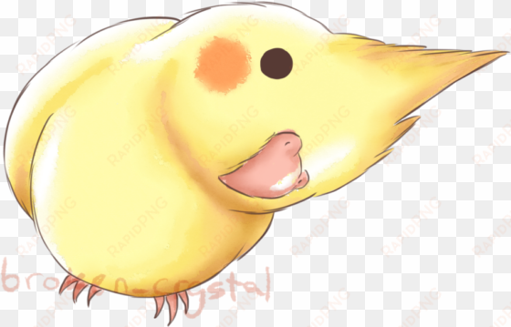plans for billy - duck