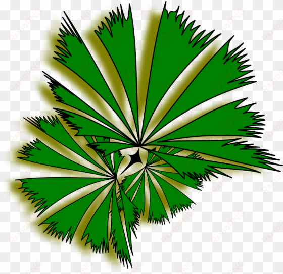 plant top view png - palm tree top view clipart