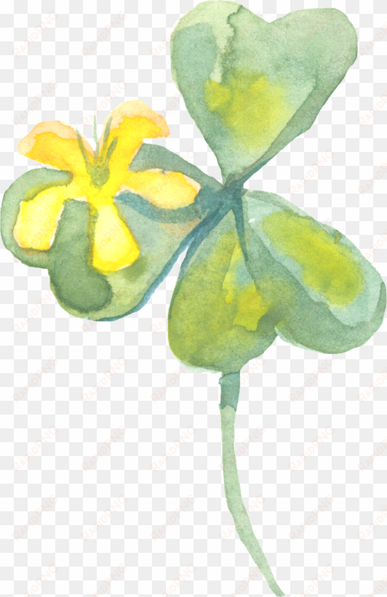 plant transparent ornament vector in spring - watercolor painting