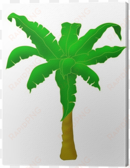 planta de banano
