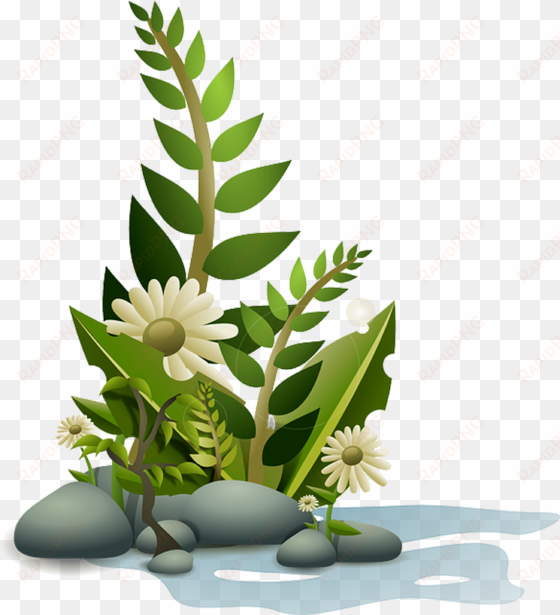 planta em png - flower vector png