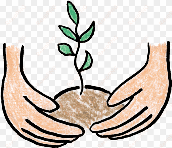 planting - plant trees clip art png