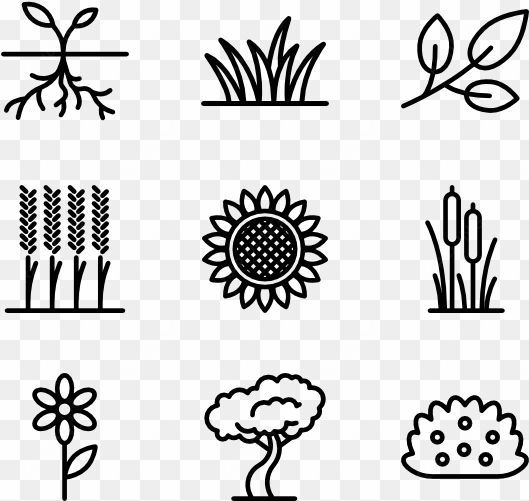plants and flowers - black and white plants png
