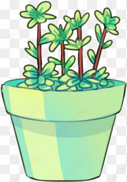 plants - flowerpot