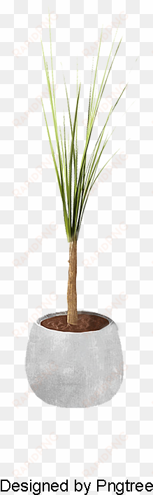 plants, potted, plants, small potted plants png and - grass
