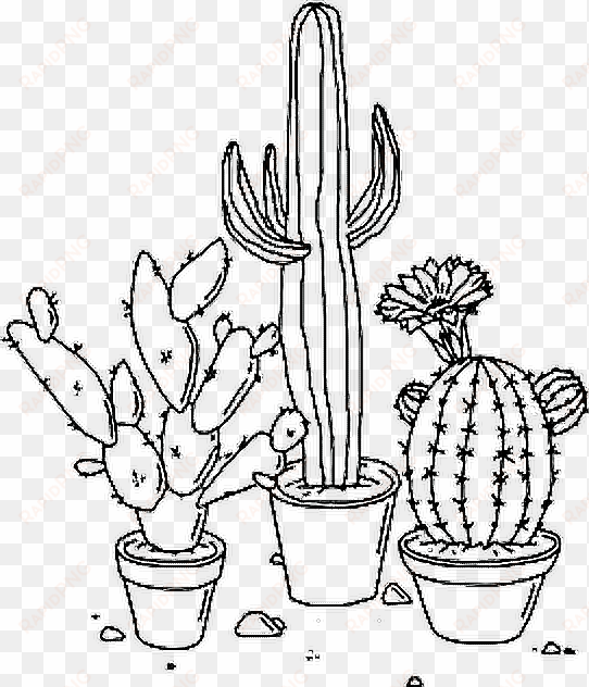 plants tumblr nature - cactus drawings
