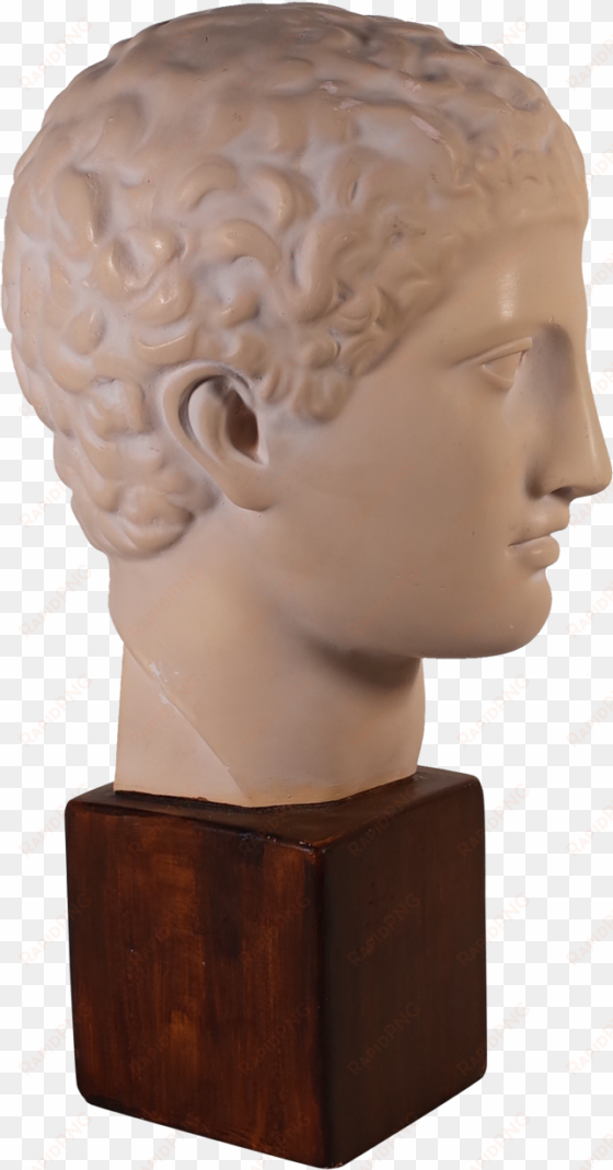 plaster bust of roman male - bust