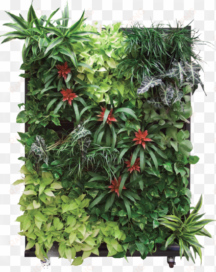 please contact us for a free consultation on our living - living wall on wheels