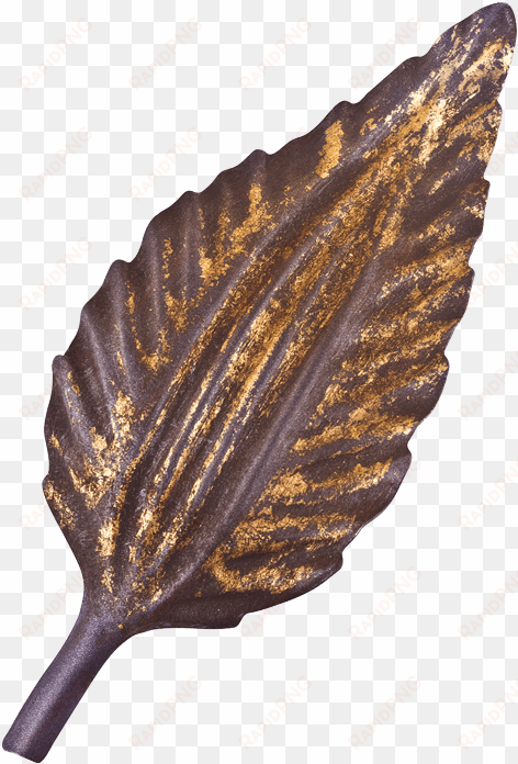 plum & gold leaf - shell