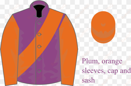 plum, orange sleeves, cap and sash - baron amherst of hackney