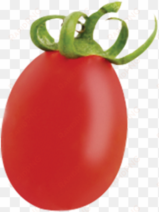 plum tomato