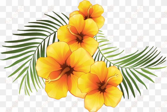 plumeria clipart at getdrawings - exotic png