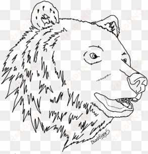 png black bear head drawing at getdrawings - drawing
