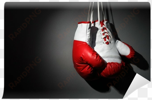 png - boxing gloves shower curtain