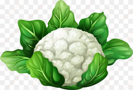 png clip art best web - clip art of cauliflower