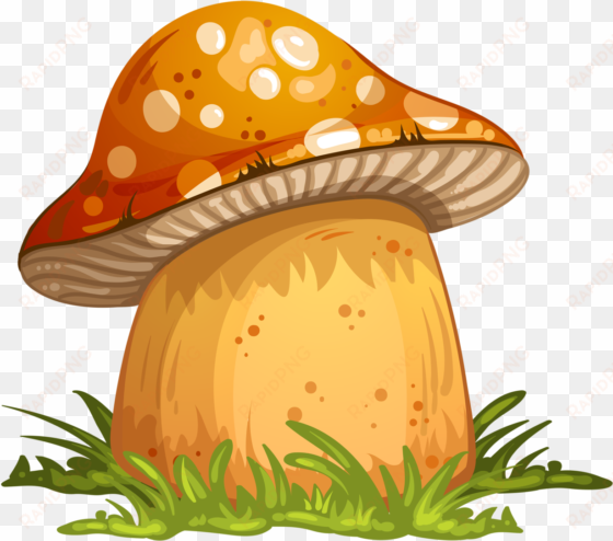 Png Download Gnome Clipart Colorful Mushroom Free On - Mushroom Cartoon transparent png image