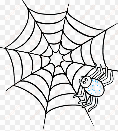 png download spider skill - spider web