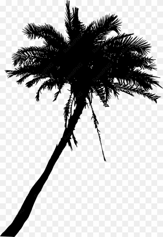 png file size - 2 palm trees silhouette