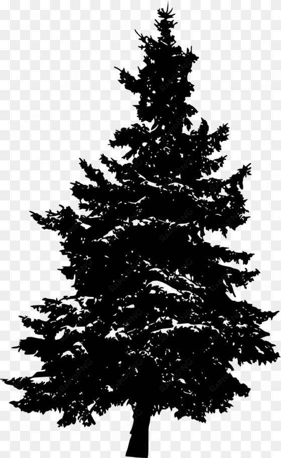 png file size - pine tree transparent