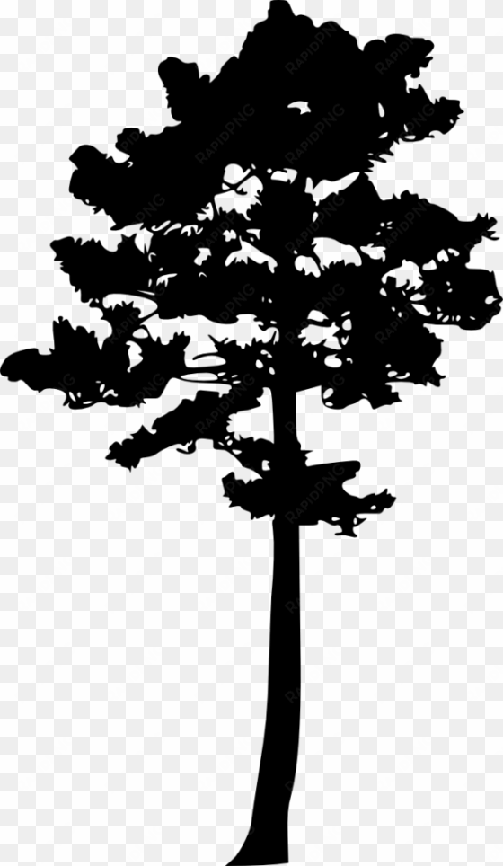 png file size - tree silhouette clip art pine
