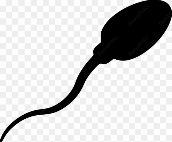 png file svg - sperm vector