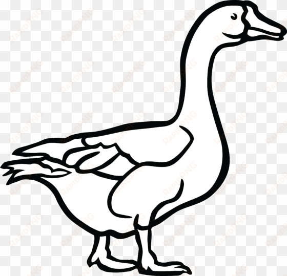 png free download cool duck png clipartxtras for ifm - goose clipart black and white