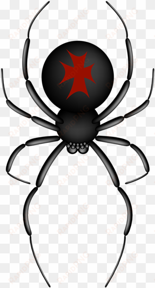 png free download gallery halloween png pictures - red and black spider clip art