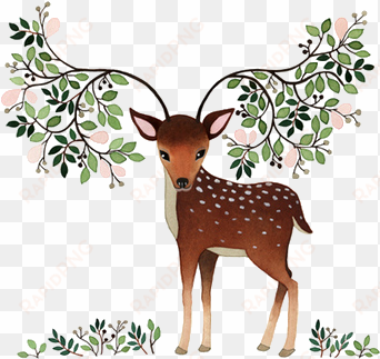 png free girly clipart deer - deer illustration