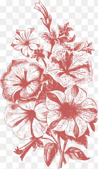 Png Free Library Plant Flower Illustrations Vol Png - Flowers Illustration Vector Png transparent png image