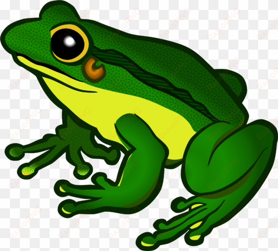 Png Free Stock Frog Clipart Png - Frog Transparent Background transparent png image