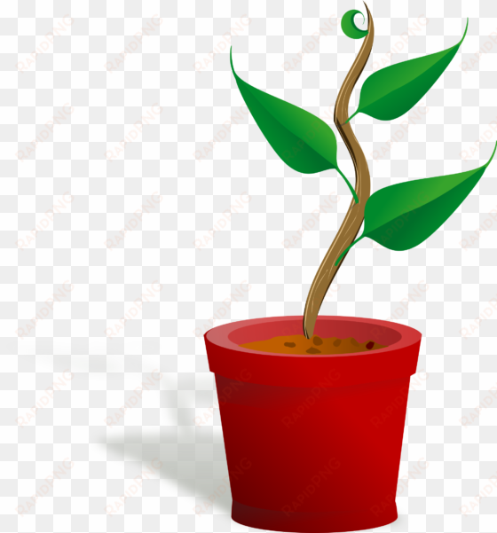 png freeuse download clipart growing big image png - getting to know plants