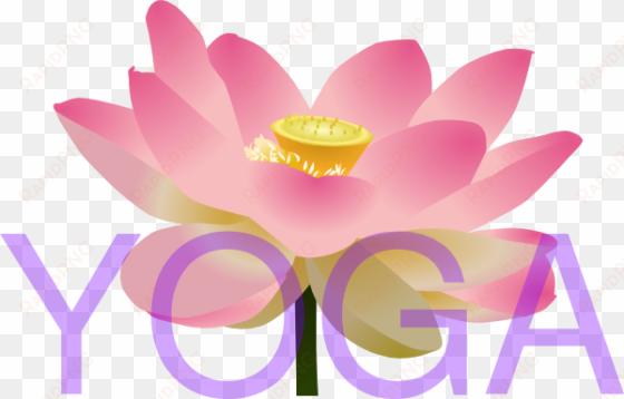 png freeuse yoga clip art at clker com vector - lotus flower yoga clip art