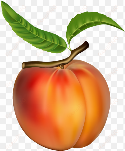 png frutas pinterest clip - peach clip art