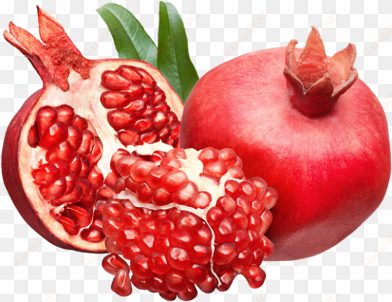 png picture great pinterest pomegranates - pomegranate png