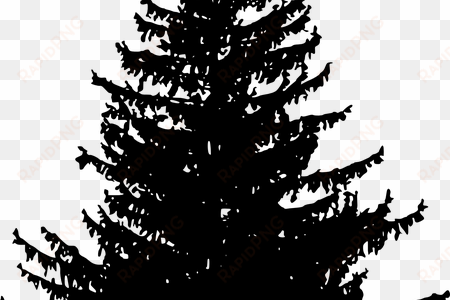 Png Pine Tree Line K Pictures Full Hq - Pine Tree Silhouette Free transparent png image