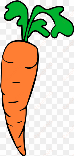 png stock carrot clipart orange - i'm vegan, which means i love all living things. except